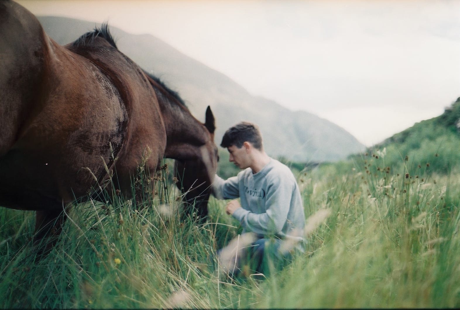Calm with Horses Filming location