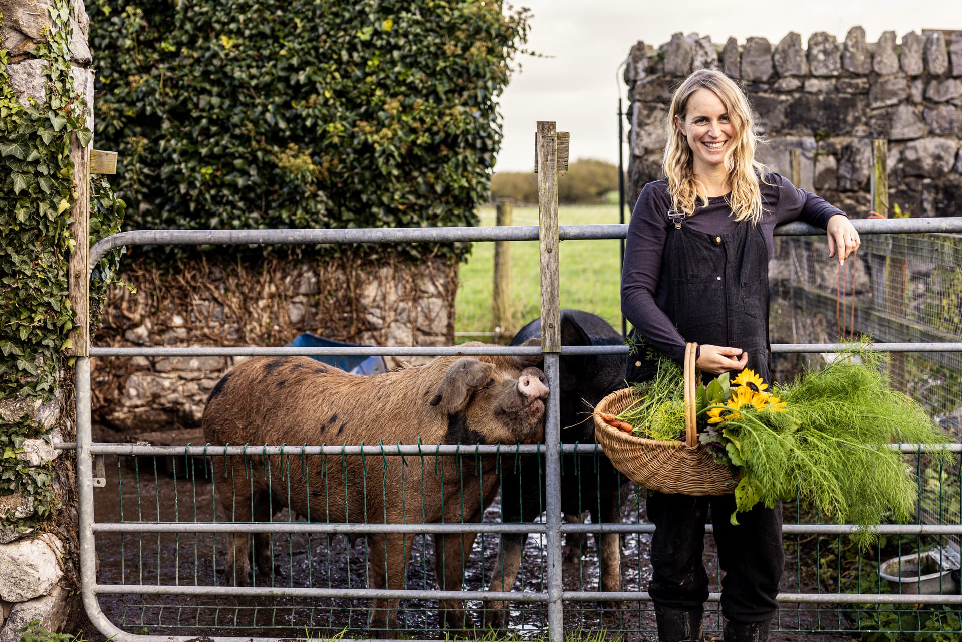 Inside a Regenerative Farm in Co Clare