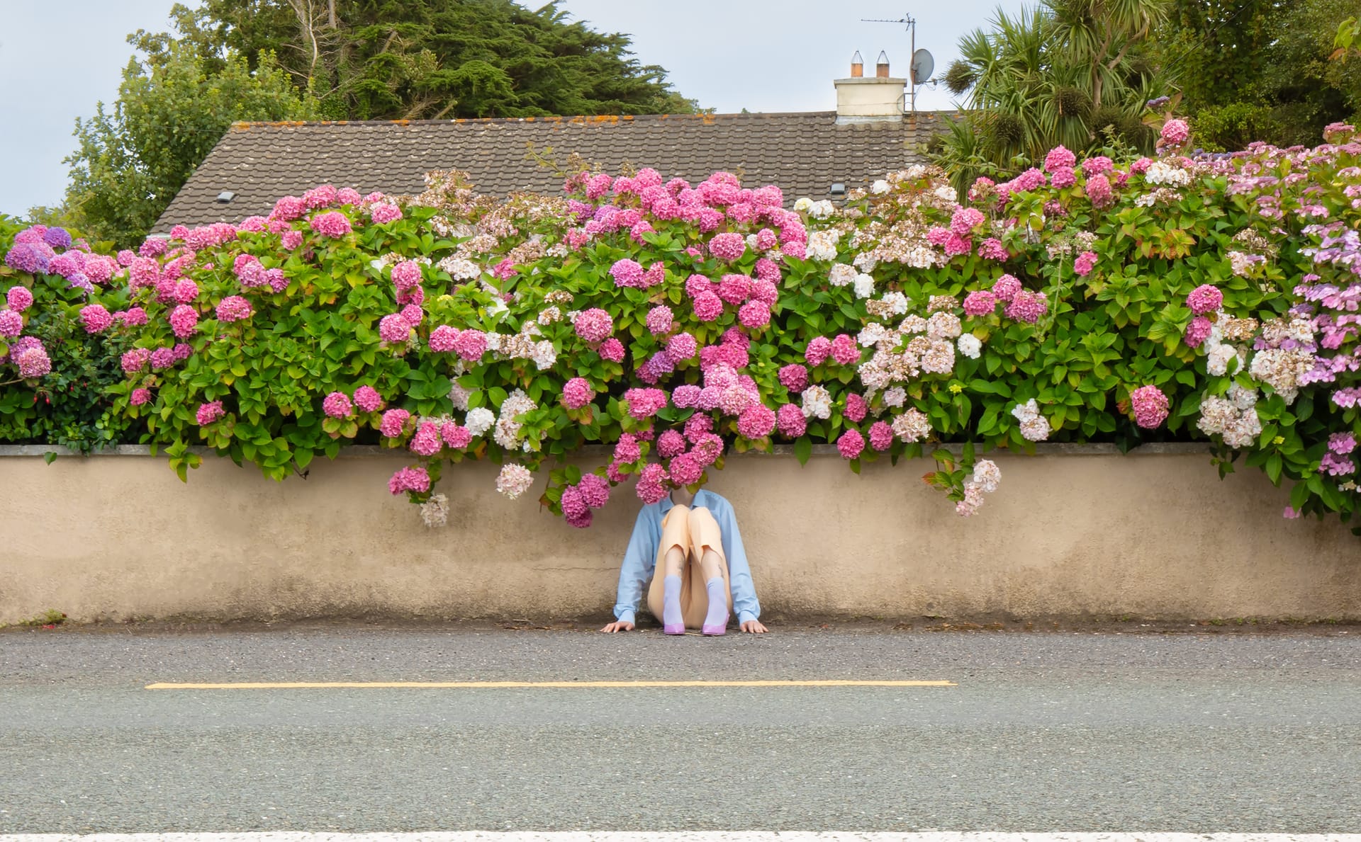 What to See, Do and Book in Galway This June
