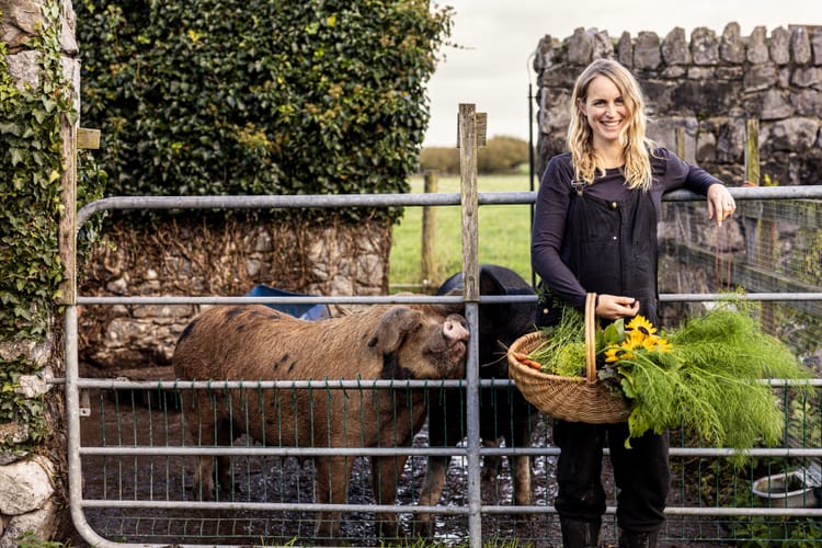 Inside a Regenerative Farm in Co Clare