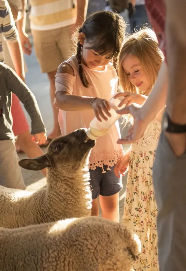 Our Favourite West of Ireland Outdoor Activities with Kids
