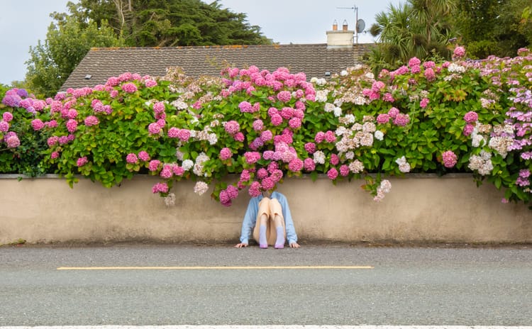 What to See, Do and Book in Galway This June